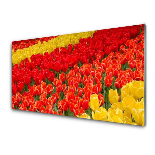 Quadro in vetro acrilico Fiori di tulipani