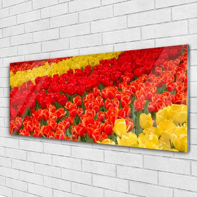 Quadro in vetro acrilico Fiori di tulipani