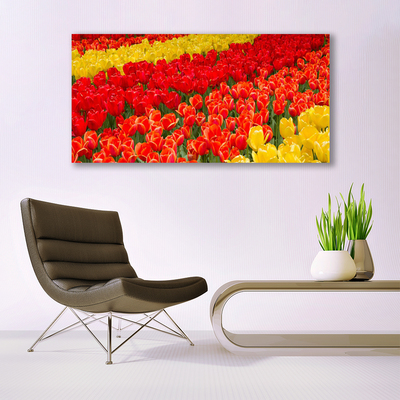 Quadro in vetro acrilico Fiori di tulipani