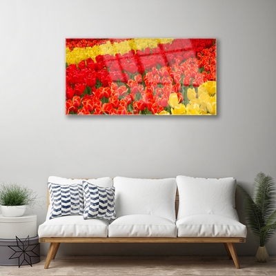 Quadro in vetro acrilico Fiori di tulipani