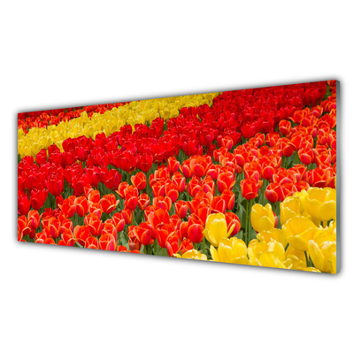 Quadro in vetro acrilico Fiori di tulipani