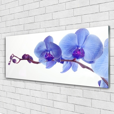 Quadro vetro acrilico I fiori della pianta