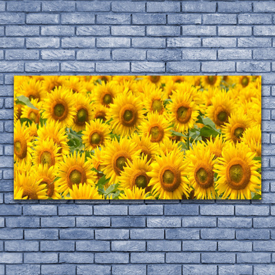 Quadro acrilico Natura della pianta del girasole