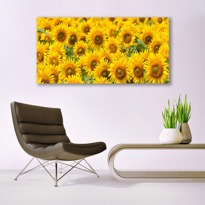 Quadro acrilico Natura della pianta del girasole