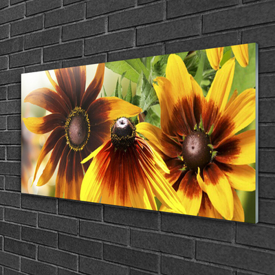 Quadro vetro acrilico I fiori della pianta