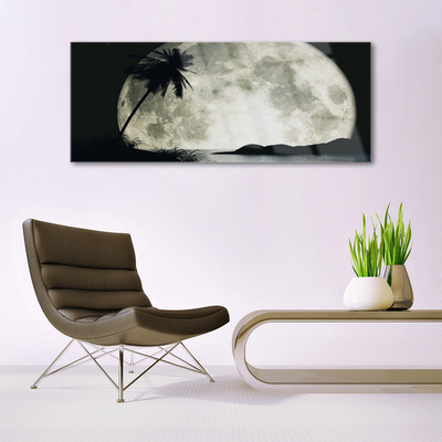 Quadro vetro acrilico Paesaggio delle palme della luna notturna