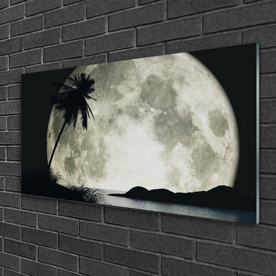 Quadro vetro acrilico Paesaggio delle palme della luna notturna