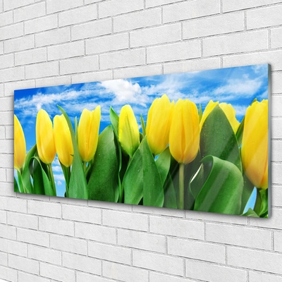 Quadro su vetro acrilico Fiori di tulipani