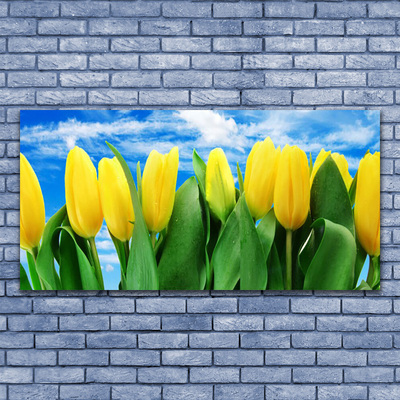 Quadro su vetro acrilico Fiori di tulipani