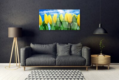 Quadro su vetro acrilico Fiori di tulipani