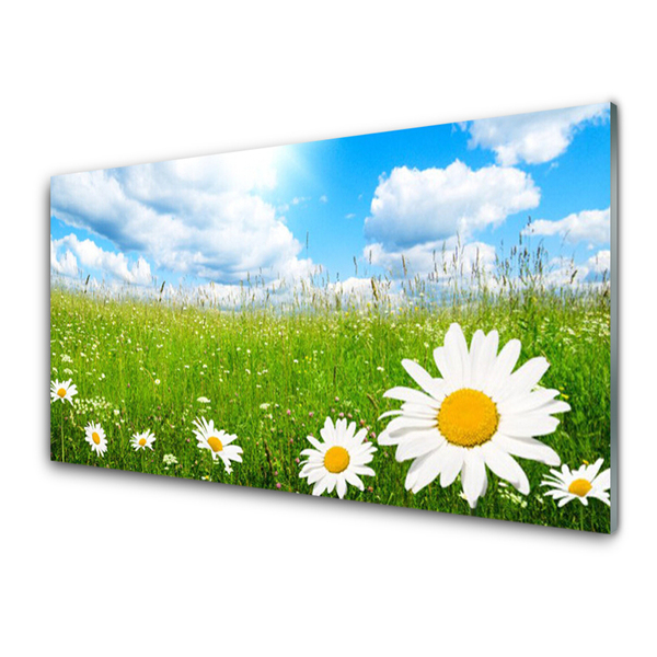 Quadro in vetro acrilico Daisy Erba Natura