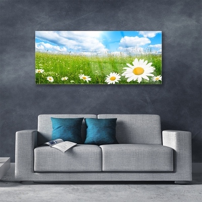 Quadro in vetro acrilico Daisy Erba Natura