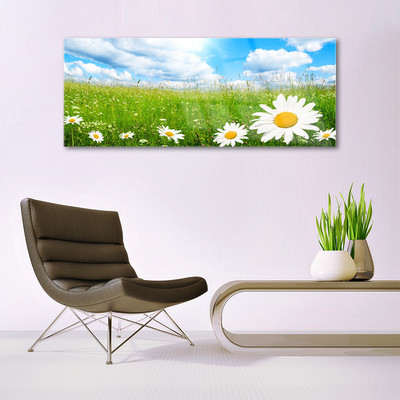 Quadro in vetro acrilico Daisy Erba Natura