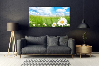 Quadro in vetro acrilico Daisy Erba Natura