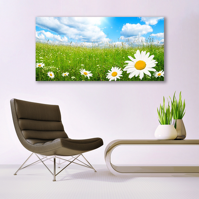 Quadro in vetro acrilico Daisy Erba Natura