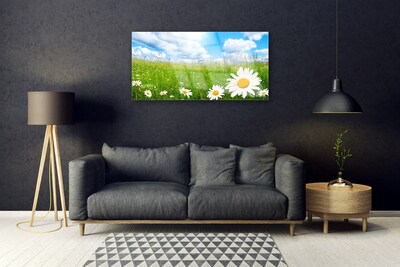 Quadro in vetro acrilico Daisy Erba Natura