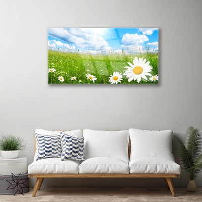 Quadro in vetro acrilico Daisy Erba Natura