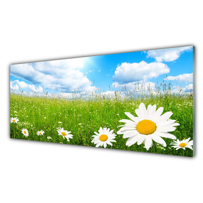 Quadro in vetro acrilico Daisy Erba Natura