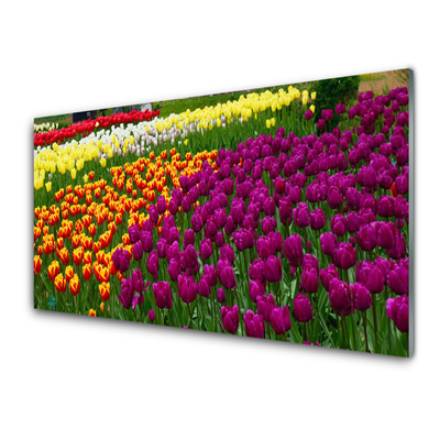 Quadro acrilico Fiori di tulipani