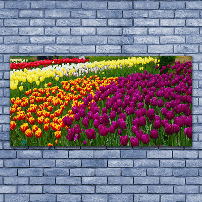 Quadro acrilico Fiori di tulipani