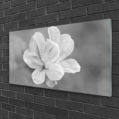 Quadro acrilico I fiori della pianta