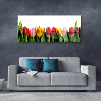 Quadro su vetro acrilico Tulipani Pianta