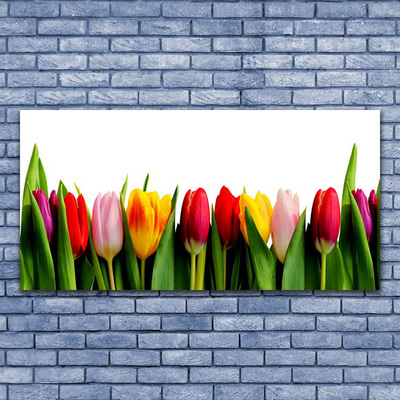 Quadro su vetro acrilico Tulipani Pianta