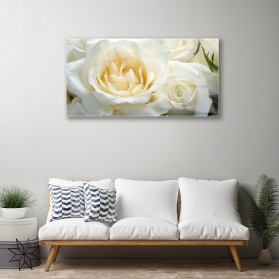 Quadro in vetro acrilico Fiori di rose