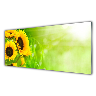 Quadro su vetro acrilico Girasoli Pianta