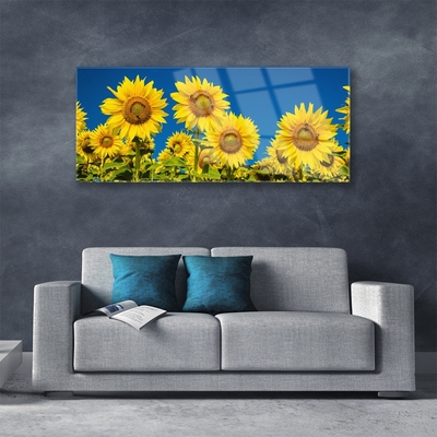 Quadro vetro acrilico Girasoli Pianta