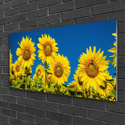 Quadro vetro acrilico Girasoli Pianta