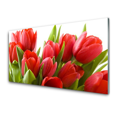 Quadro in vetro acrilico Tulipani, fiori, piante