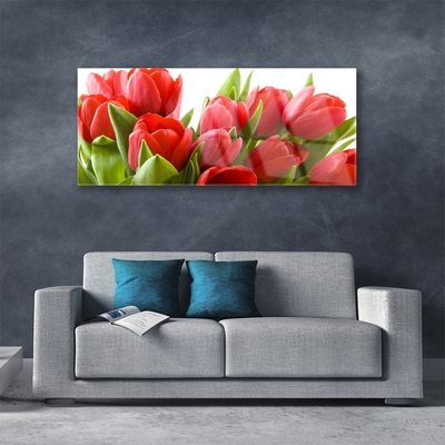 Quadro in vetro acrilico Tulipani, fiori, piante