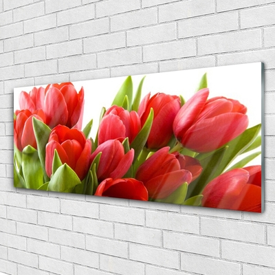 Quadro in vetro acrilico Tulipani, fiori, piante