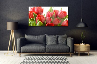 Quadro in vetro acrilico Tulipani, fiori, piante