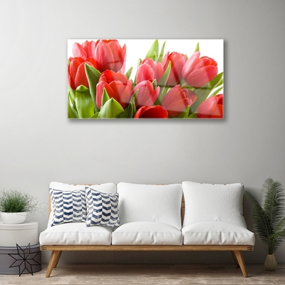 Quadro in vetro acrilico Tulipani, fiori, piante