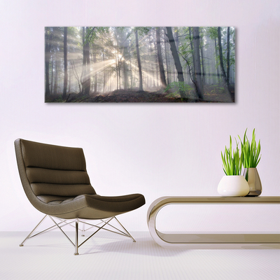 Quadro in vetro acrilico Alberi della natura della foresta