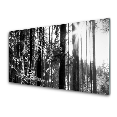 Quadro acrilico Alberi della natura della foresta