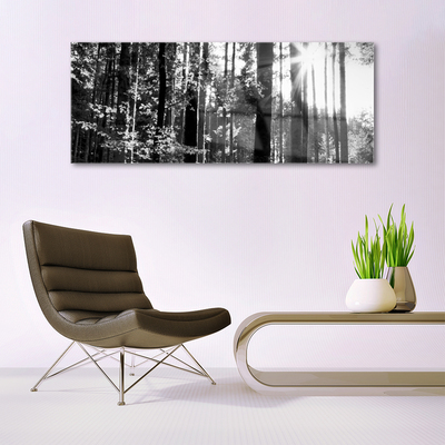 Quadro acrilico Alberi della natura della foresta