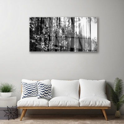 Quadro acrilico Alberi della natura della foresta