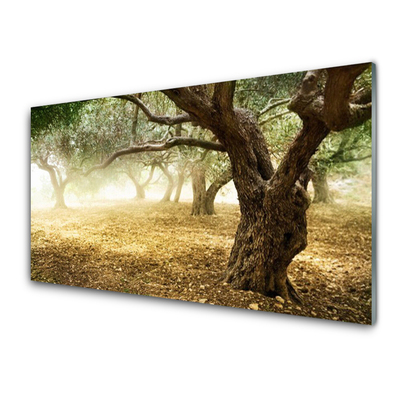 Quadro vetro acrilico Albero dell'erba della natura