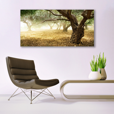 Quadro vetro acrilico Albero dell'erba della natura