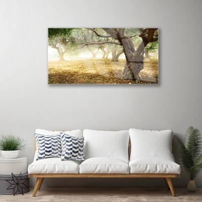 Quadro vetro acrilico Albero dell'erba della natura