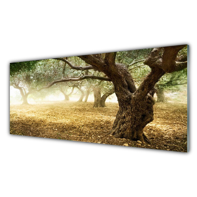 Quadro vetro acrilico Albero dell'erba della natura