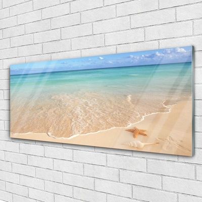 Quadro acrilico Paesaggio della spiaggia delle stelle marine