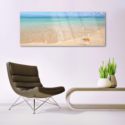 Quadro acrilico Paesaggio della spiaggia delle stelle marine