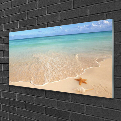 Quadro acrilico Paesaggio della spiaggia delle stelle marine