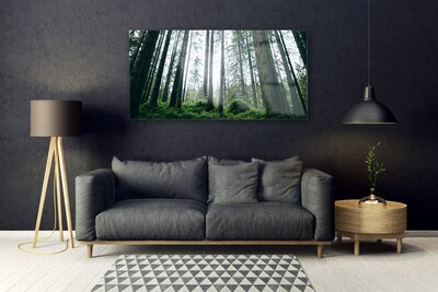 Quadro su vetro acrilico Alberi della natura della foresta