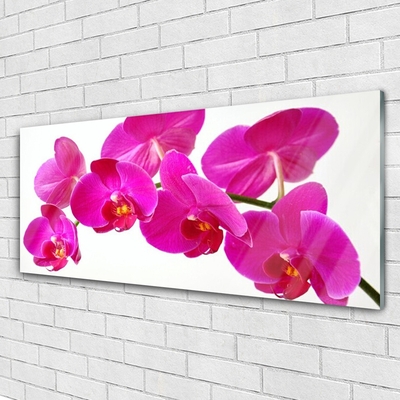 Quadro acrilico I fiori della pianta