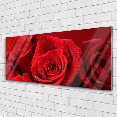 Quadro su vetro acrilico Fiori di rose